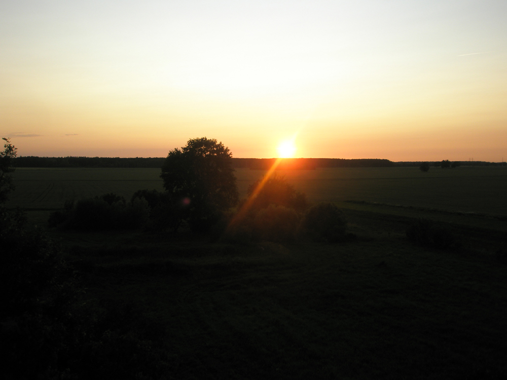 Sunset in country