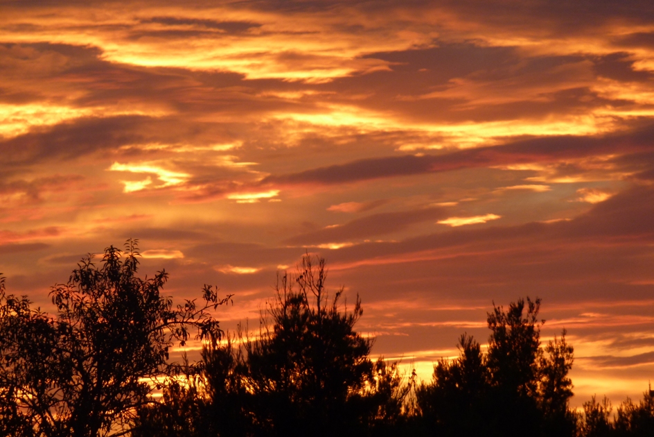 Sunset in Dalmatia