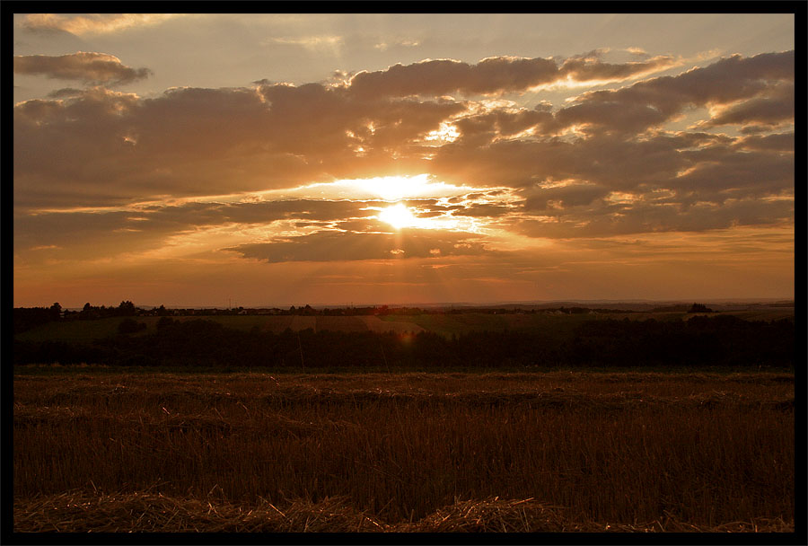 Sunset in de Palz