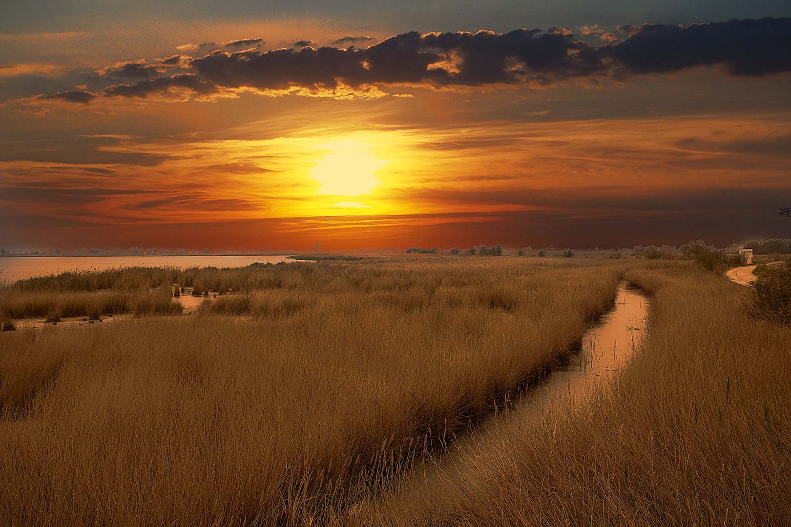 Sunset in Delta de l'Ebre