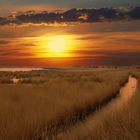 Sunset in Delta de l'Ebre