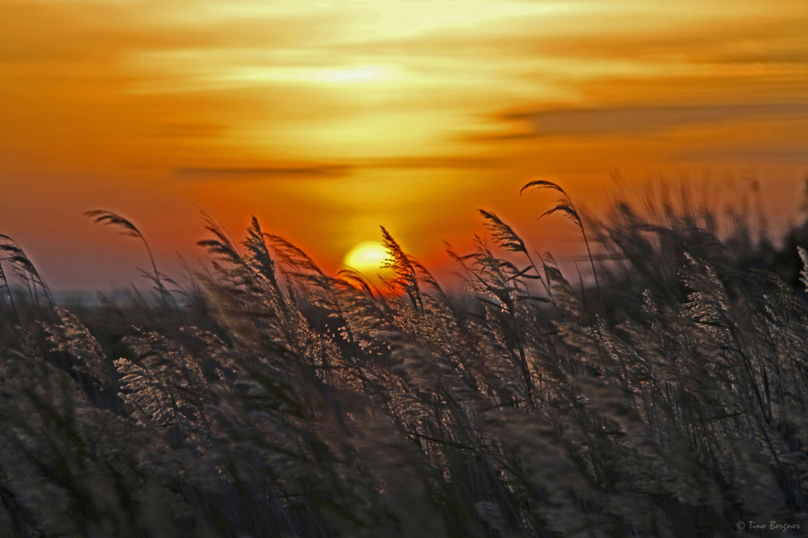 Sunset in der Camargue