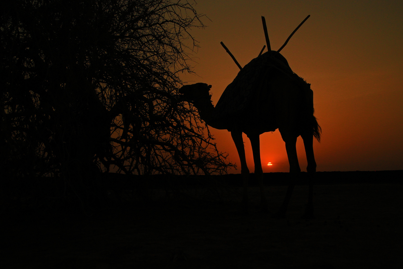 Sunset in der Danakil-Wüste, Äthiopien