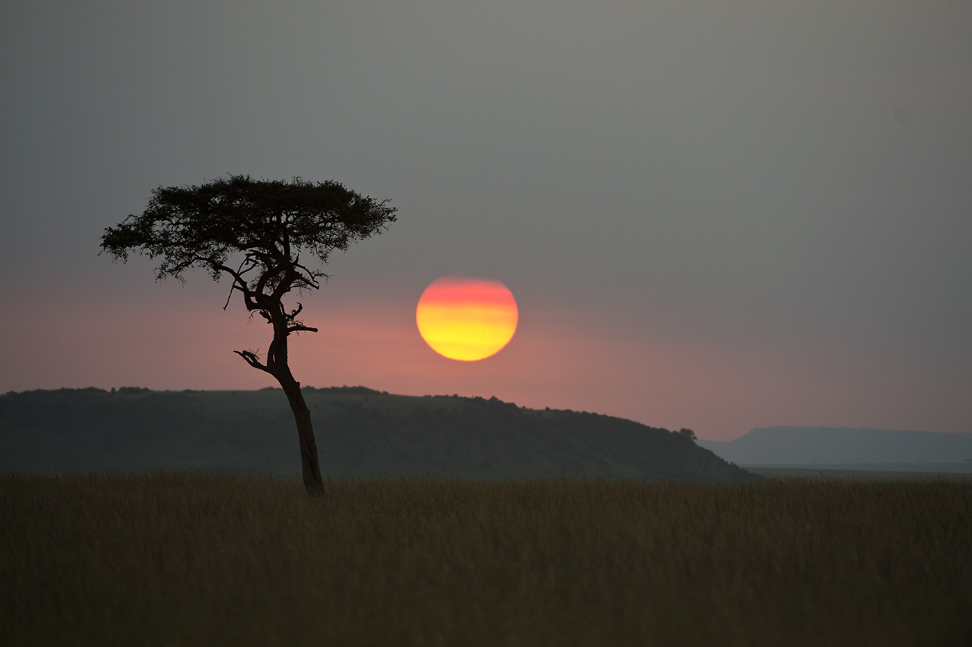 Sunset in der Masai Mara