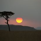 Sunset in der Masai Mara