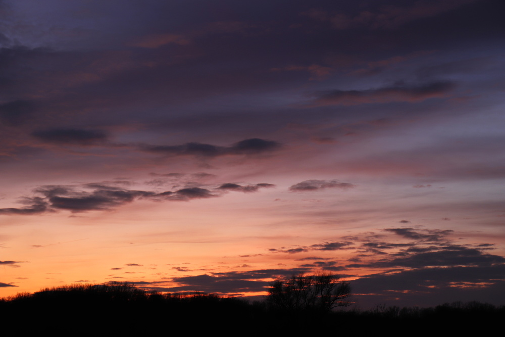 Sunset in Dessau - image 12