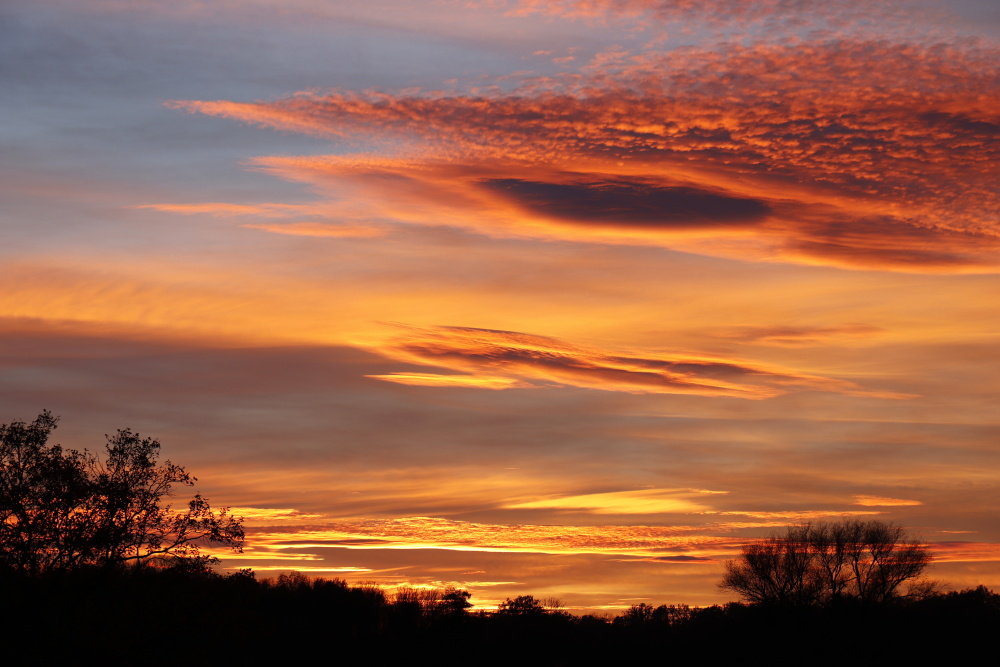 Sunset in Dessau - image 6