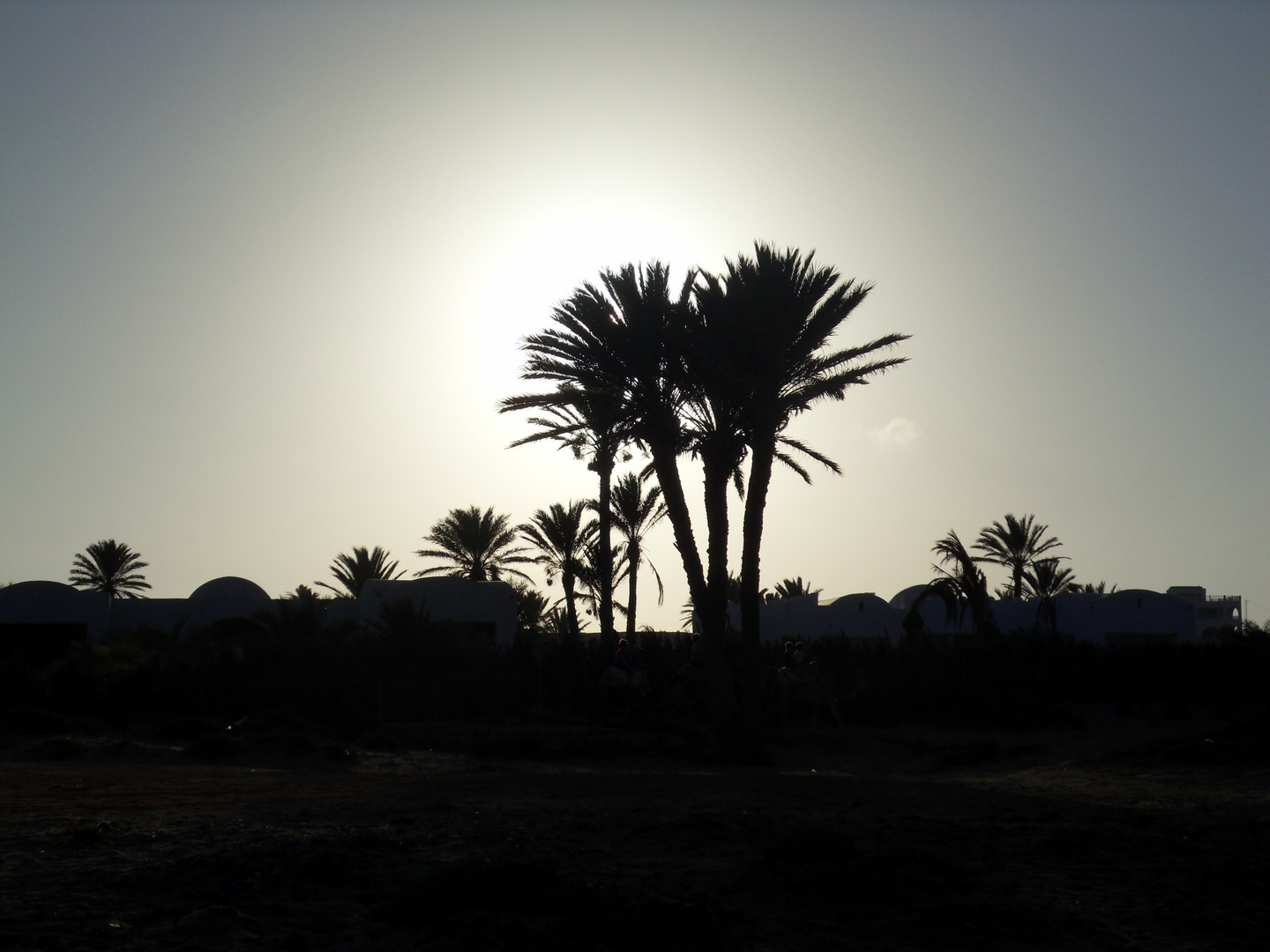 Sunset in Djerba
