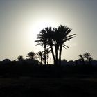 Sunset in Djerba