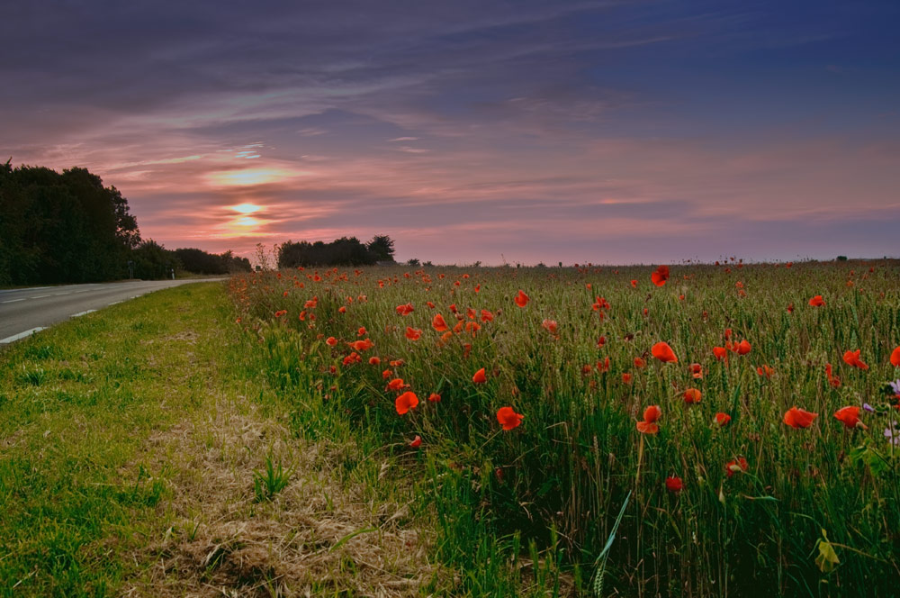 Sunset in France