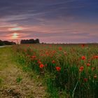 Sunset in France