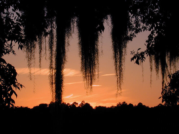 Sunset in Georgia, USA