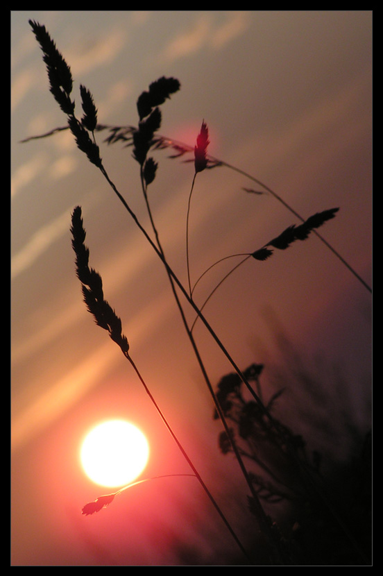 Sunset in Germany