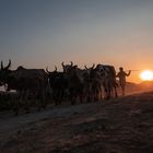 Sunset in Hampi