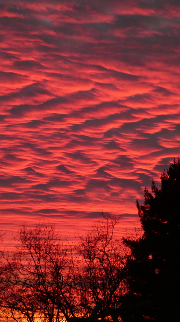 Sunset in Hayward, California