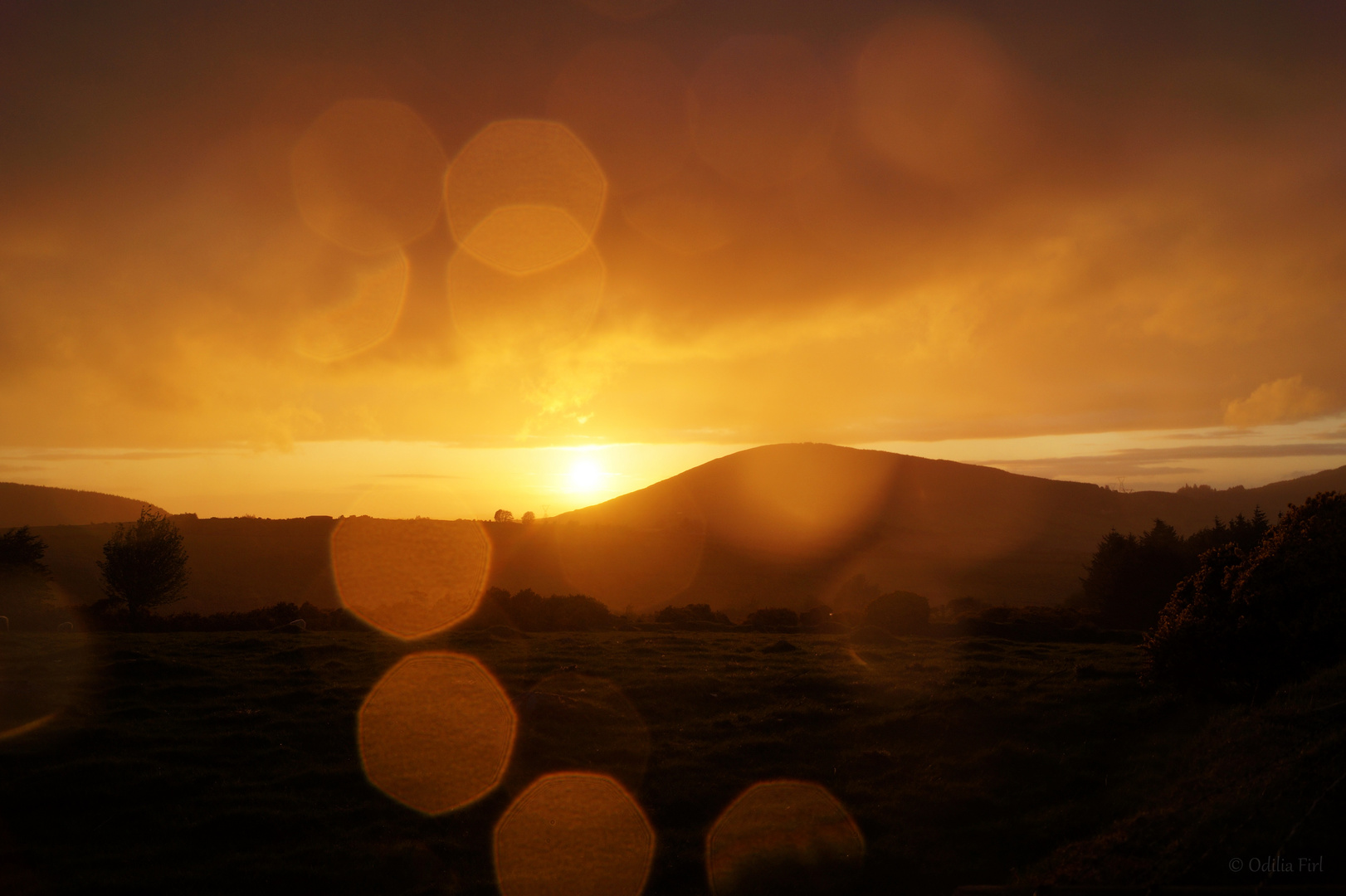 Sunset in Hollywood (Ireland)