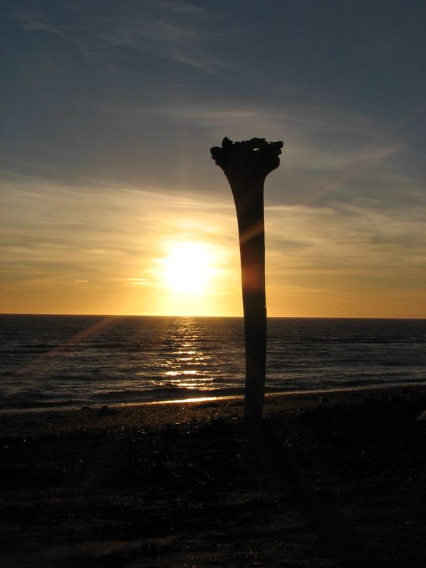 Sunset in Homer, ALASKA