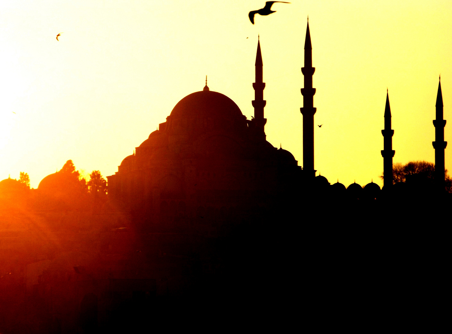 Sunset in Istanbul with mosque - Sonnenuntergang mit Moschee