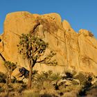 Sunset in Joshua Tree