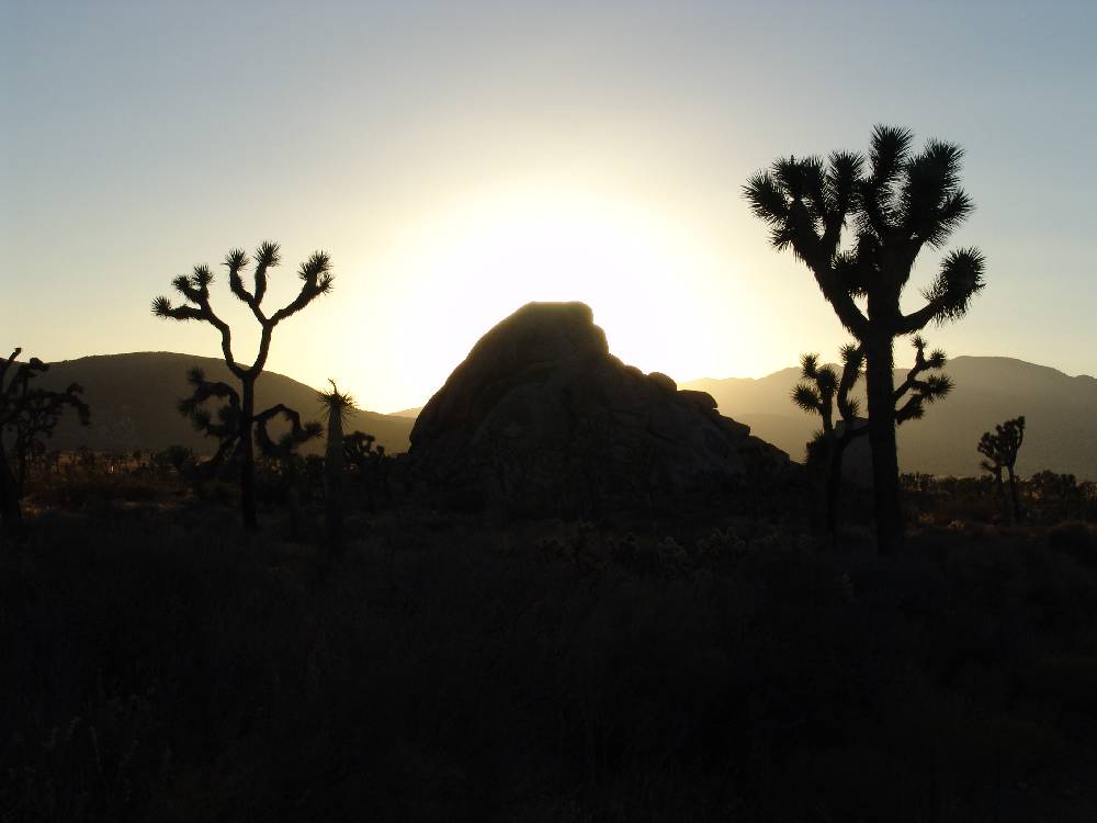 Sunset in Joshua Tree National Park