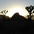 Sunset in Joshua Tree National Park