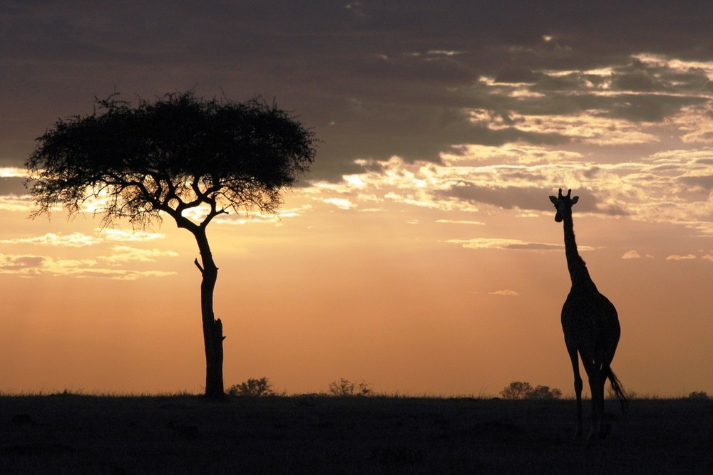 Sunset in Kenia