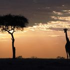 Sunset in Kenia