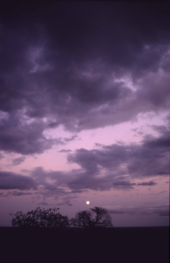 Sunset in Kenya