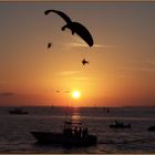 Sunset in Key West