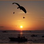 Sunset in Key West