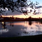 Sunset in Kissimmee / bei Orlando Florida