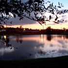 Sunset in Kissimmee / bei Orlando Florida