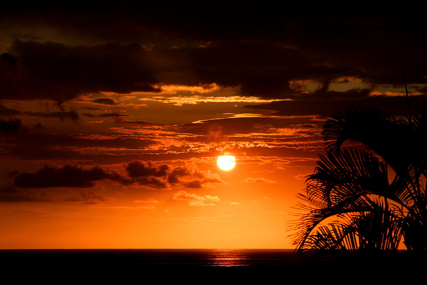 sunset in Kona