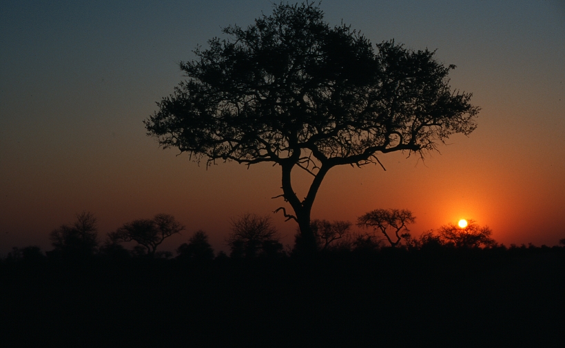 Sunset in Kruger Park