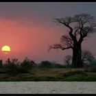 Sunset in Liwonde National Park