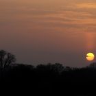 Sunset in Lünen - image 4