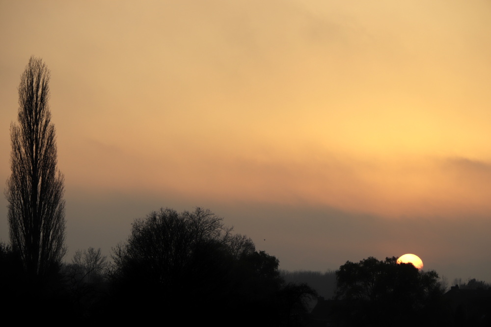 Sunset in Lünen - image 4