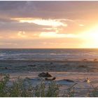 Sunset in Mahia Beach, Jan. 2014