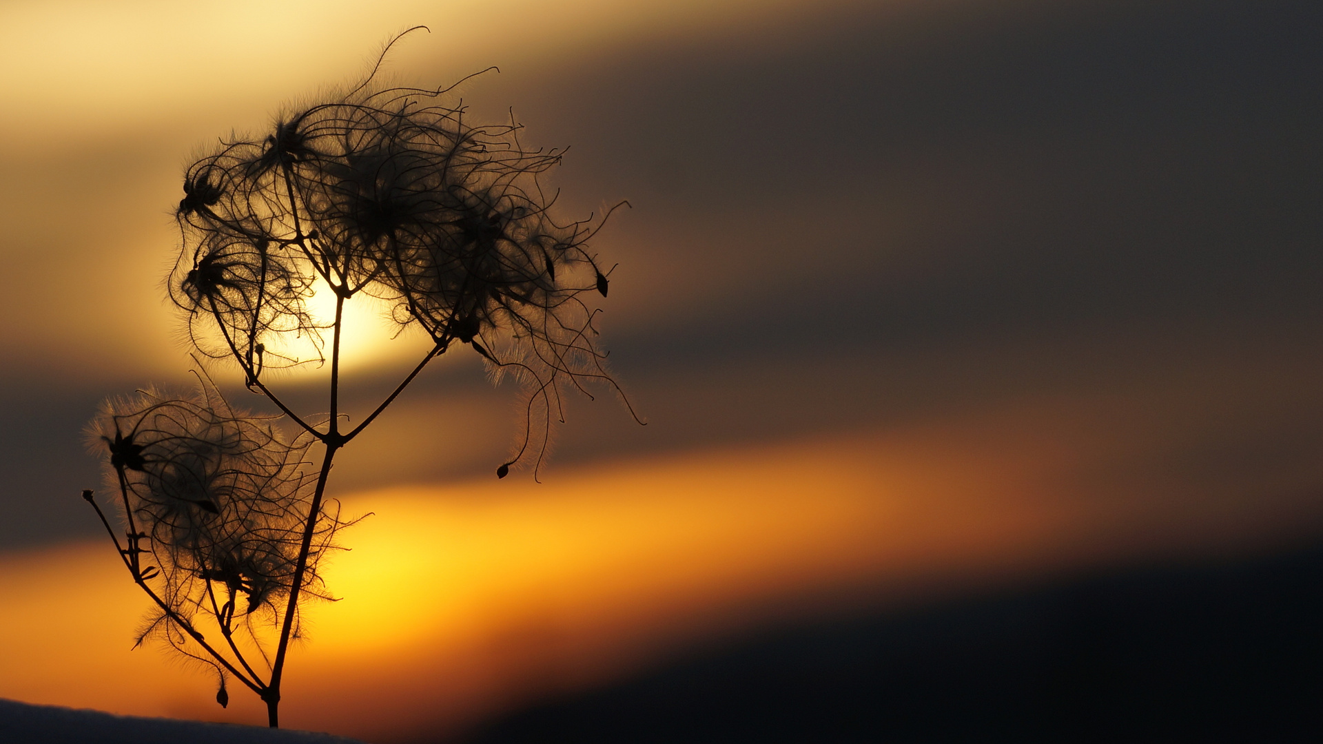 sunset in meadows-creek