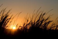 Sunset in Namibia