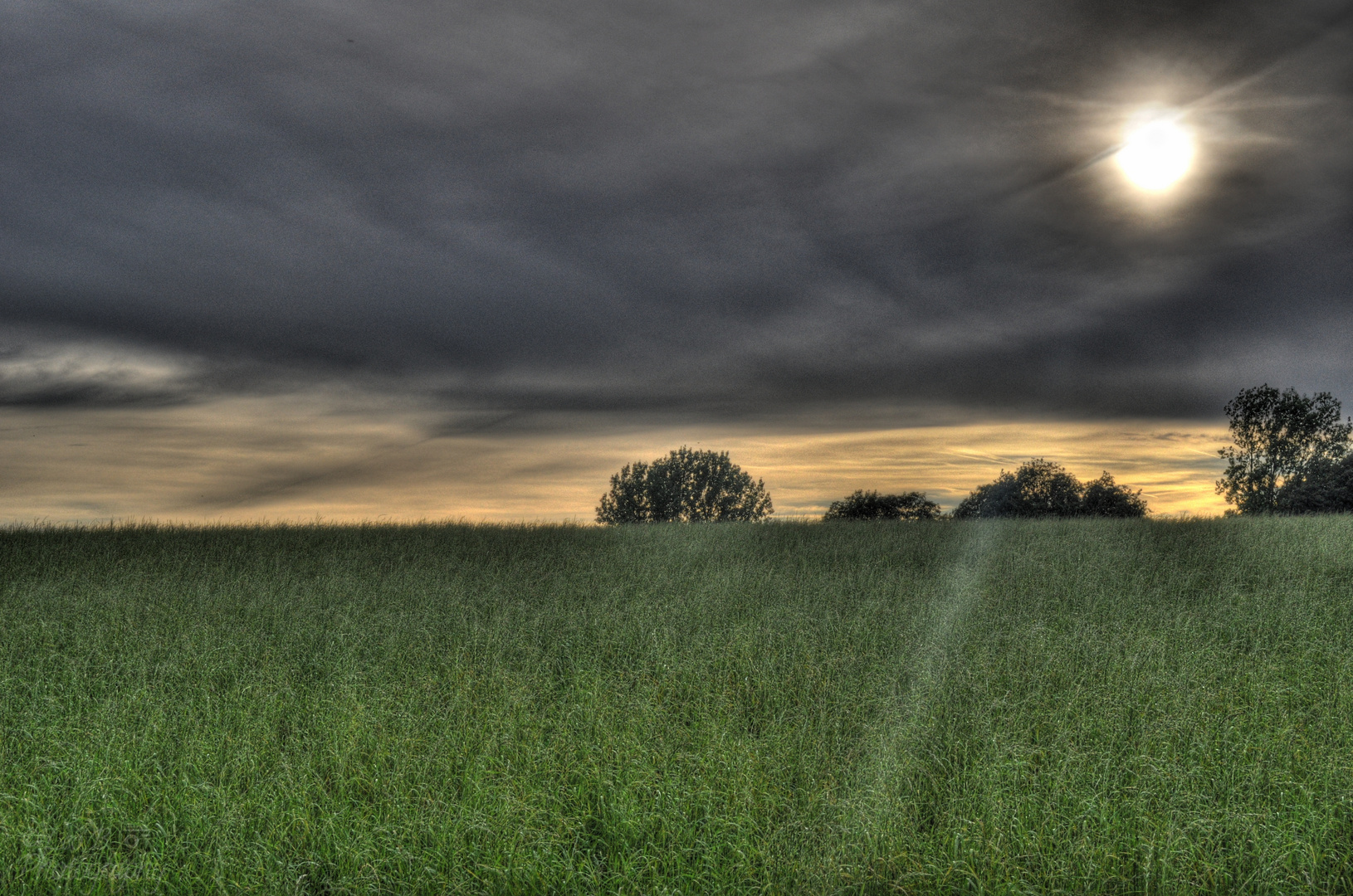 Sunset in Nature