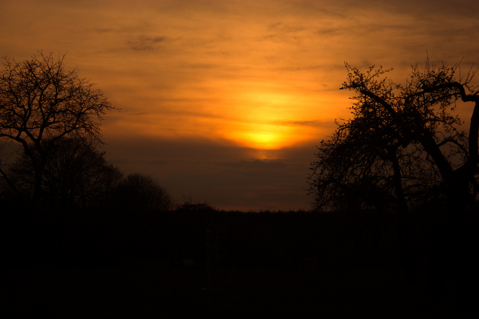 Sunset in Neuenkirchen (Zarrentin am Schalsee)