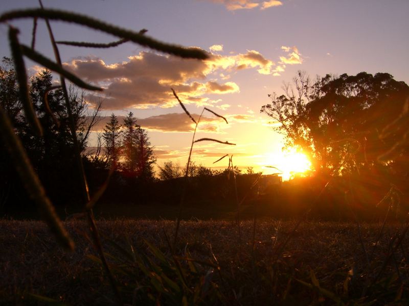 sunset in new zealand