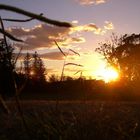 sunset in new zealand