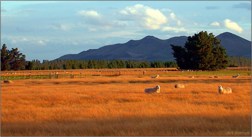 Sunset in New Zealand (unframed)