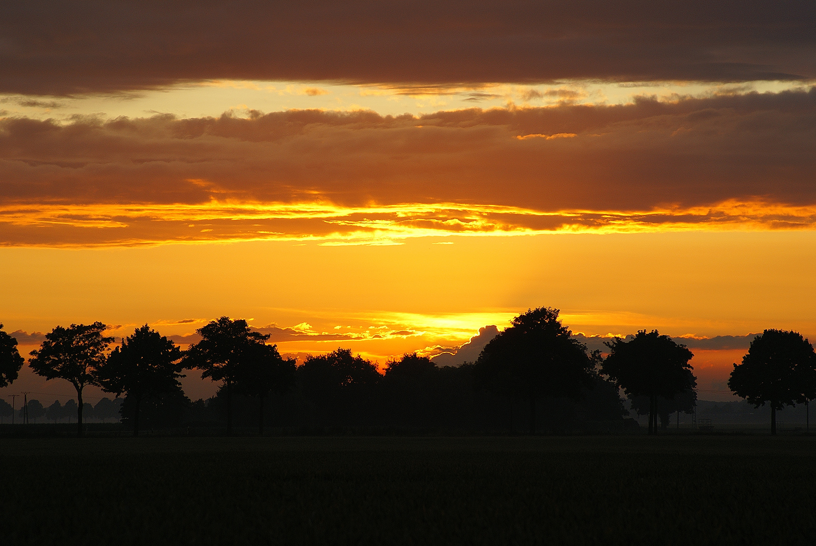 Sunset in Orange