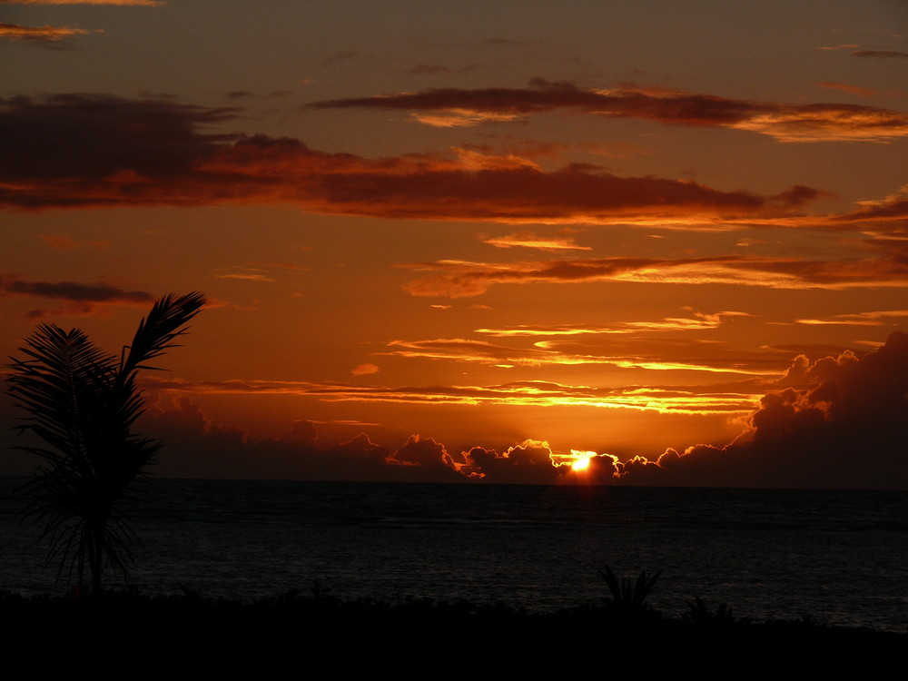 Sunset in Paradise