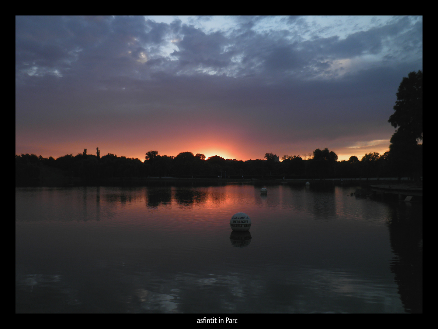 sunset in park