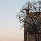 Sunset in San Galgano