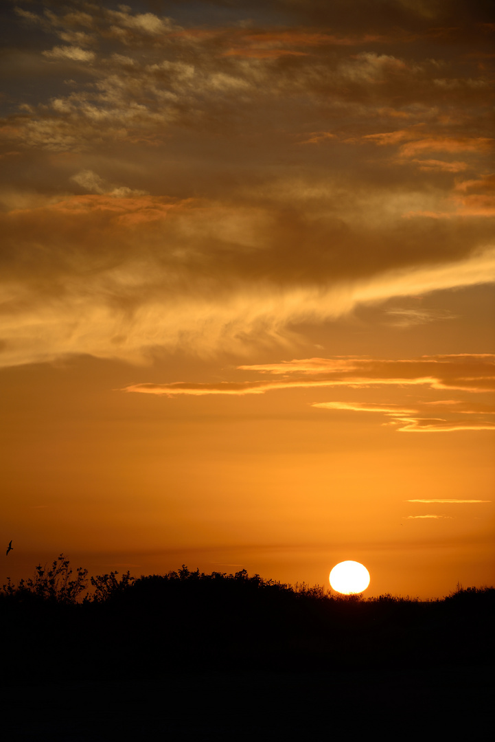 Sunset in Sanibel Island